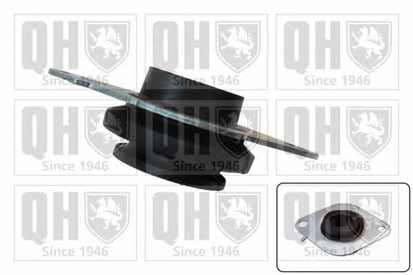EM4302 Quinton Hazell Подушка двигателя левая