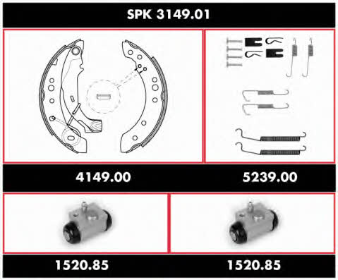 SPK314901 Remsa Колодки тормозные барабанные, комплект