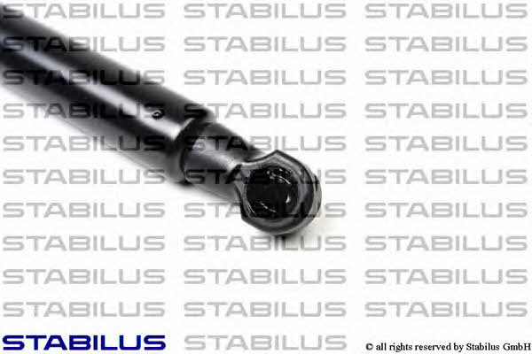Stabilus 202923 Пружина газова багажника 202923: Купити в Україні - Добра ціна на EXIST.UA!