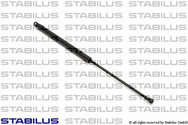 Stabilus 291668 Амортизатор багажника 291668: Отличная цена - Купить в Украине на EXIST.UA! 291668 Stabilus Амортизатор багажника