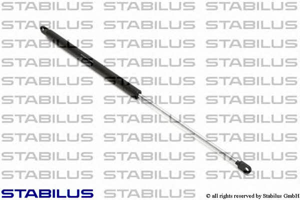 Stabilus 291846 Амортизатор багажника 291846: Приваблива ціна - Купити в Україні на EXIST.UA! 291846 Stabilus Амортизатор багажника