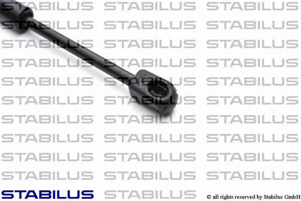 Купити Stabilus 5725ZR за низькою ціною в Україні!