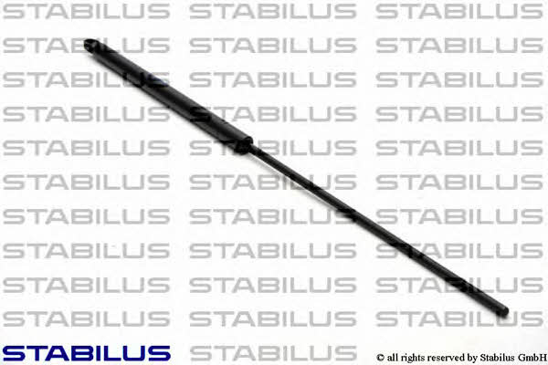 Купити Stabilus 5788CE за низькою ціною в Україні!