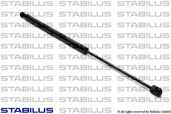 Купити Stabilus 6062SX за низькою ціною в Україні!
