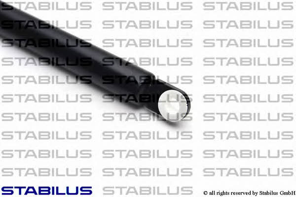 Stabilus 8913BK Пружина газова багажника 8913BK: Купити в Україні - Добра ціна на EXIST.UA!