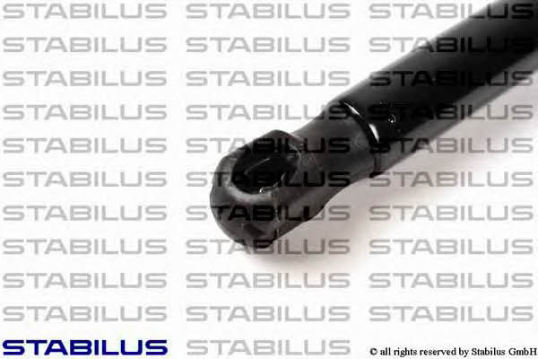 Stabilus 002001 Пружина газова багажника 002001: Купити в Україні - Добра ціна на EXIST.UA!