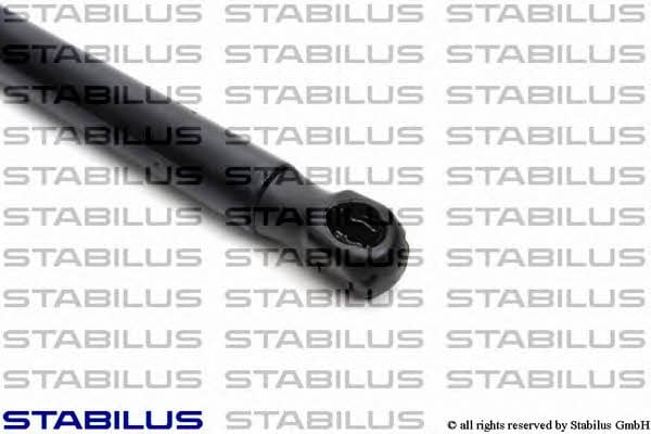 Stabilus 014035 Пружина газова заднього скла 014035: Приваблива ціна - Купити в Україні на EXIST.UA!