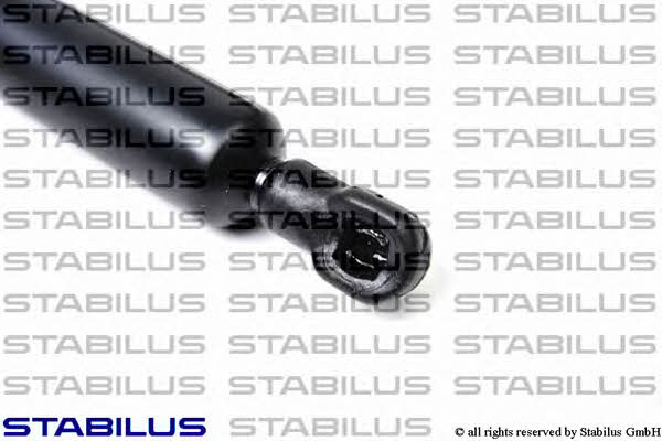 Stabilus 015356 Пружина газова багажника 015356: Купити в Україні - Добра ціна на EXIST.UA!