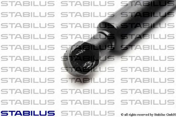 Stabilus 015495 Амортизатор багажника 015495: Приваблива ціна - Купити в Україні на EXIST.UA! 015495 Stabilus Амортизатор багажника