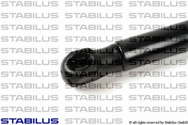 Stabilus 015582 Пружина газова багажника 015582: Купити в Україні - Добра ціна на EXIST.UA!