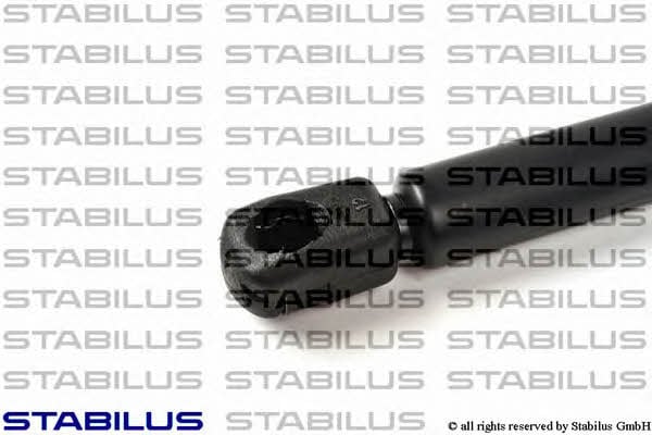 Stabilus 015583 Амортизатор багажника 015583: Отличная цена - Купить в Украине на EXIST.UA! 015583 Stabilus Амортизатор багажника