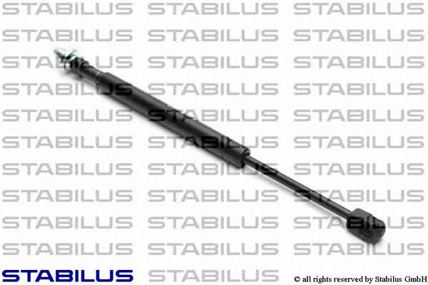 Купити Stabilus 015621 за низькою ціною в Україні!
