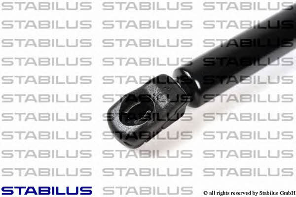 Stabilus 018616 Амортизатор багажника 018616: Приваблива ціна - Купити в Україні на EXIST.UA! 018616 Stabilus Амортизатор багажника