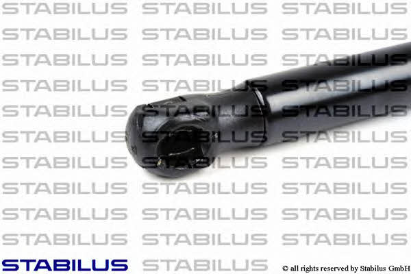 Stabilus 023812 Пружина газова капоту 023812: Купити в Україні - Добра ціна на EXIST.UA!