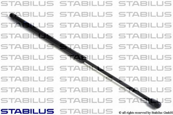 Stabilus 026247 Пружина газова багажника 026247: Купити в Україні - Добра ціна на EXIST.UA!