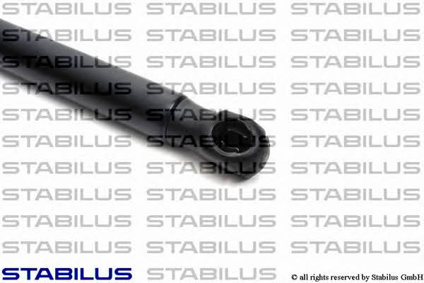 Stabilus 031030 Амортизатор багажника 031030: Приваблива ціна - Купити в Україні на EXIST.UA! 031030 Stabilus Амортизатор багажника