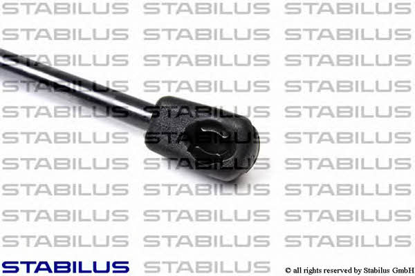 Купити Stabilus 031139 – суперціна на EXIST.UA!