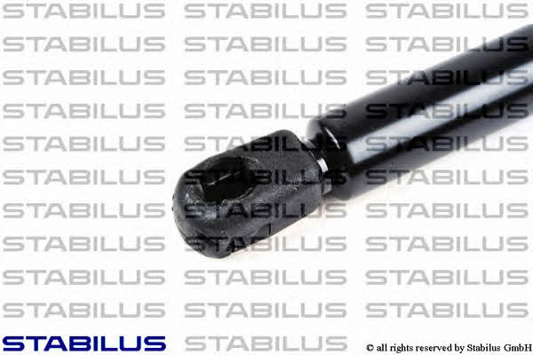 Stabilus 356134 Пружина газова 356134: Купити в Україні - Добра ціна на EXIST.UA!