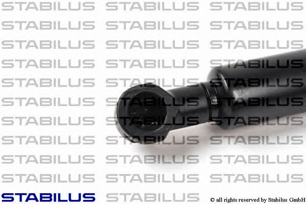 Stabilus 356373 Пружина газова 356373: Купити в Україні - Добра ціна на EXIST.UA!