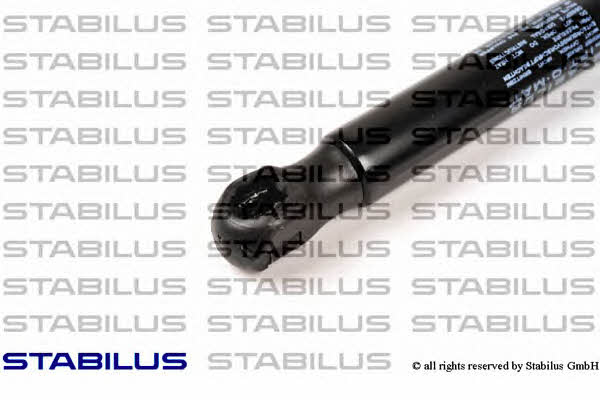Stabilus 909658 Пружина газова багажника 909658: Купити в Україні - Добра ціна на EXIST.UA!