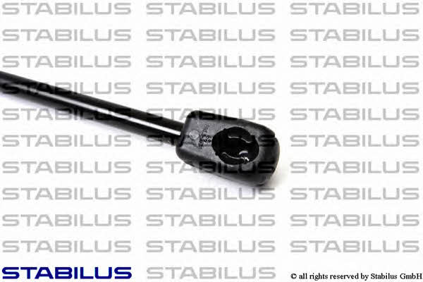 Купити Stabilus 698621 – суперціна на EXIST.UA!