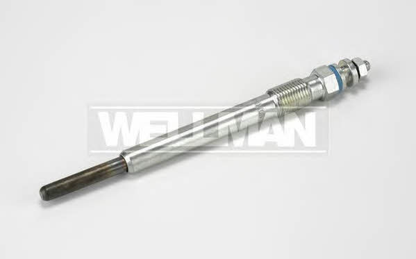 Standard W581 Свічка розжарювання W581: Купити в Україні - Добра ціна на EXIST.UA!