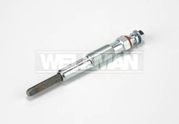 Standard W597 Свічка розжарювання W597: Купити в Україні - Добра ціна на EXIST.UA!