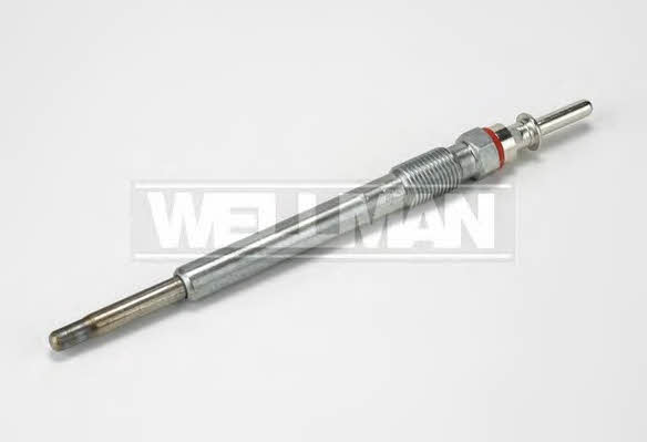 Standard W598 Свічка розжарювання W598: Купити в Україні - Добра ціна на EXIST.UA!