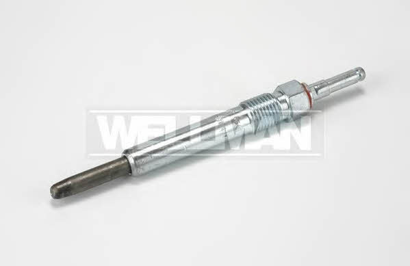 Standard W641 Свічка розжарювання W641: Купити в Україні - Добра ціна на EXIST.UA!