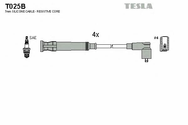 Купити Tesla T025B за низькою ціною в Україні!