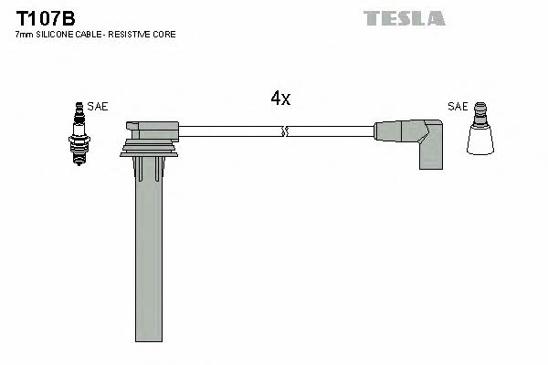 Купить Tesla T107B по низкой цене в Украине!