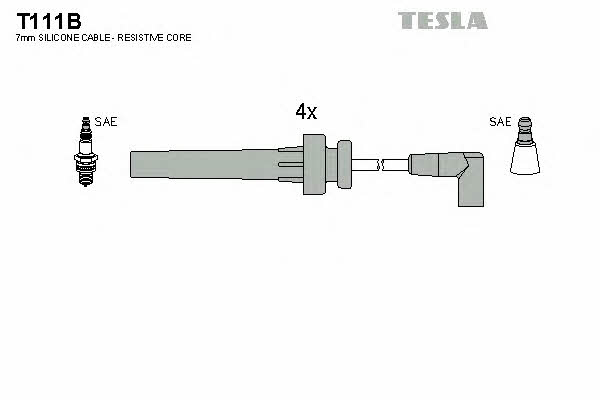 Купить Tesla T111B по низкой цене в Украине!