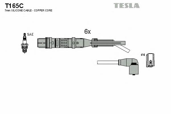 Купить Tesla T165C по низкой цене в Украине!