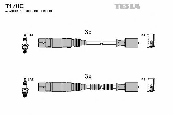 Купити Tesla T170C за низькою ціною в Україні!