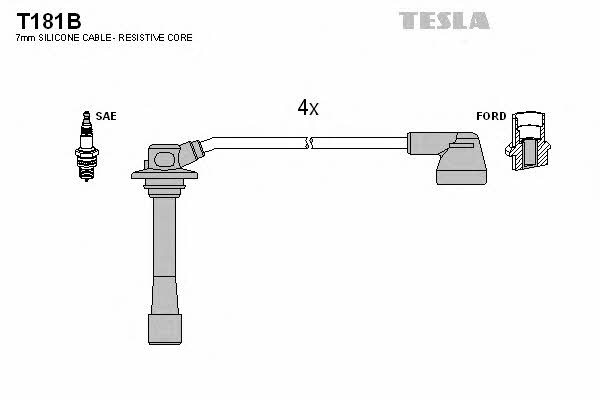 Купить Tesla T181B – отличная цена на EXIST.UA!