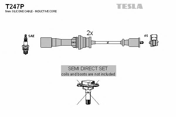 Купить Tesla T247P по низкой цене в Украине!