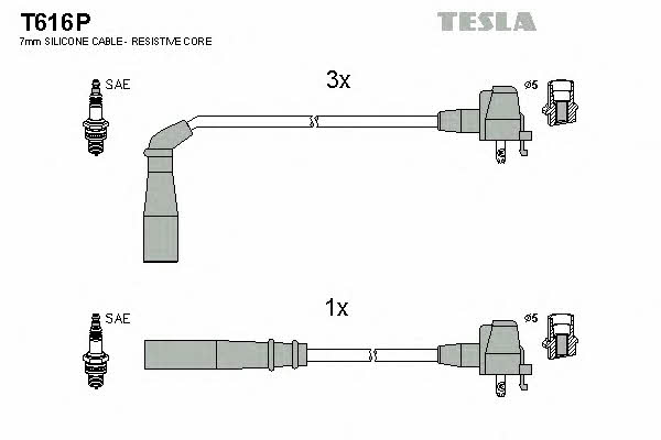 Купить Tesla T616P по низкой цене в Украине!