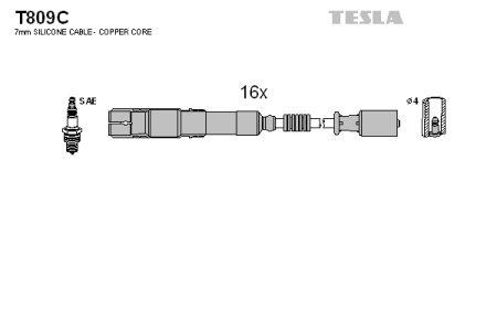 Tesla T809C Дроти високовольтні, комплект T809C: Купити в Україні - Добра ціна на EXIST.UA!