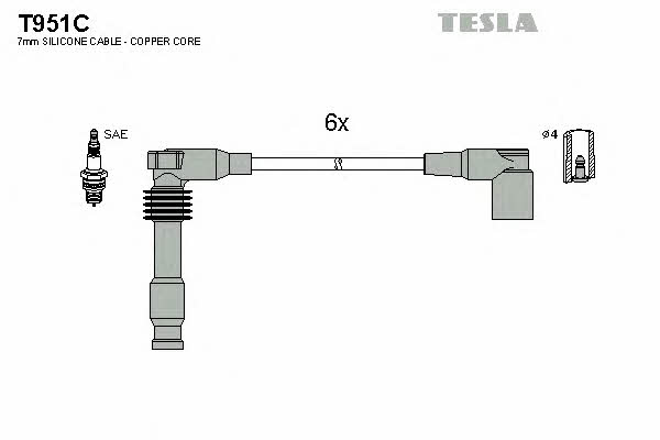 Купить Tesla T951C по низкой цене в Украине!