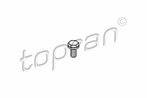Topran 110 260 Болт 110260: Купити в Україні - Добра ціна на EXIST.UA!