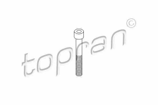 Болт Topran 110 707