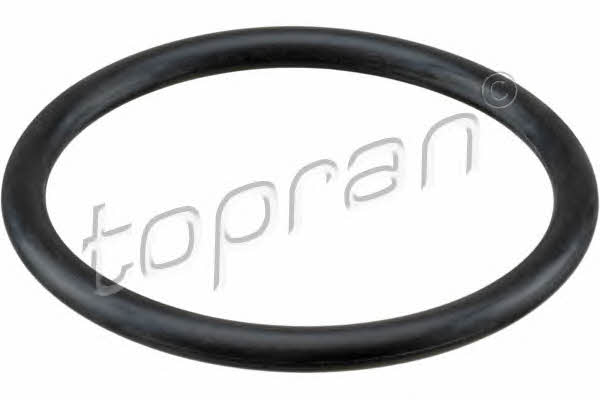 Topran 113 884 Прокладка корпусу повітряного фільтра 113884: Купити в Україні - Добра ціна на EXIST.UA!