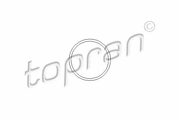 Topran 202 290 Прокладка насосу охолоджувальної рідини 202290: Купити в Україні - Добра ціна на EXIST.UA!
