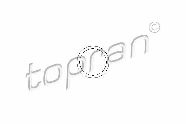 Topran 202 307 Сальник 202307: Купити в Україні - Добра ціна на EXIST.UA!