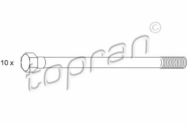 Topran 500 361 Болти головки блоку циліндрів, комплект 500361: Купити в Україні - Добра ціна на EXIST.UA!