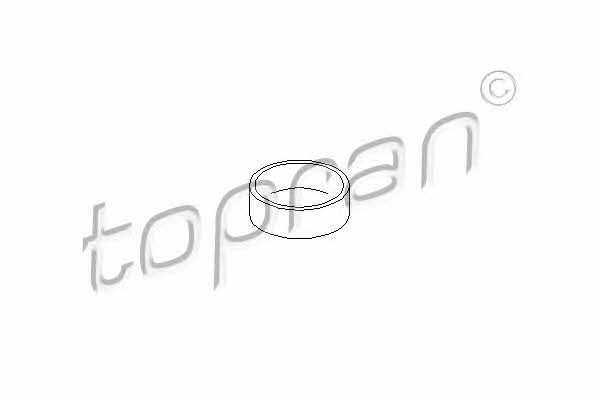 Topran 400 431 Заглушка блоку циліндрів 400431: Приваблива ціна - Купити в Україні на EXIST.UA!
