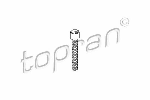 Topran 104 306 Болт 104306: Купити в Україні - Добра ціна на EXIST.UA!