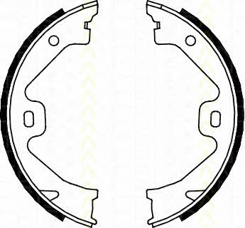 Triscan 8100 17011 Колодки гальмівні стояночного гальма 810017011: Купити в Україні - Добра ціна на EXIST.UA!