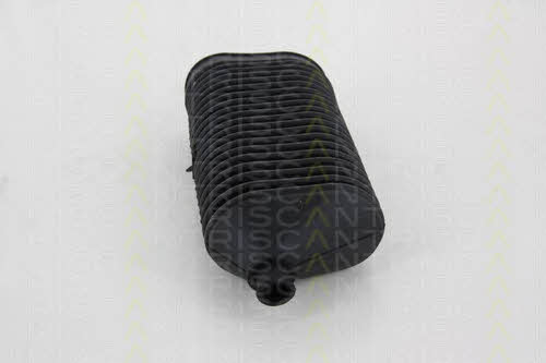 Triscan 8500 23010 Пильовик рульової рейки, комплект 850023010: Купити в Україні - Добра ціна на EXIST.UA!