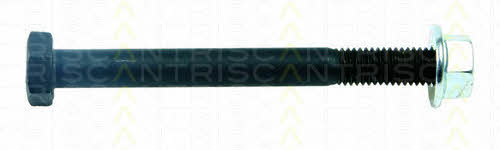 Triscan 8500 29866 Комплект монтажний важеля підвіски 850029866: Купити в Україні - Добра ціна на EXIST.UA!